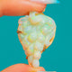RARE Antique Carved Opal Bunch of Grapes Pendant, 10.00ct Opal